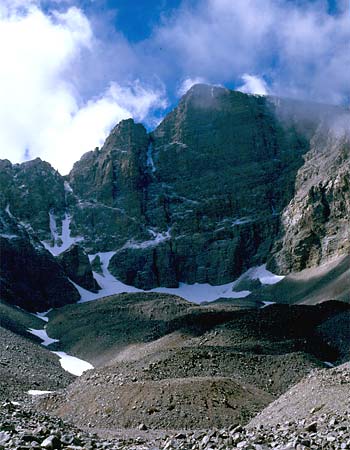 Michael H. Levy Photograph