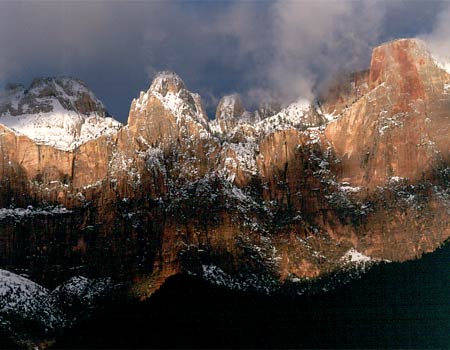 Michael H. Levy Photograph
