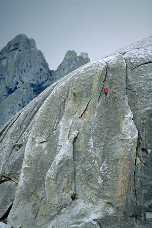 Colin Meagher Photo