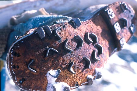 Thom Pollard Image