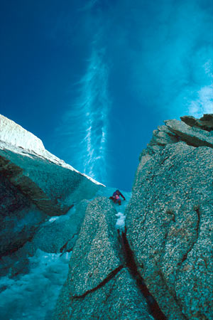 Thom Pollard Image
