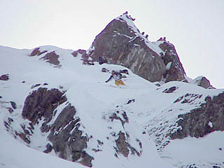 Red Bull Snowthrill Photo