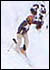 Red Bull Snowthrill
