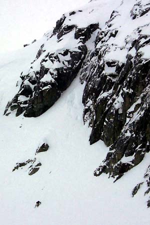 Canadian Freeskiing Championships Photo