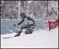 Telemark Racing