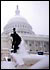 Capitol Boarding