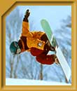 Shaun White