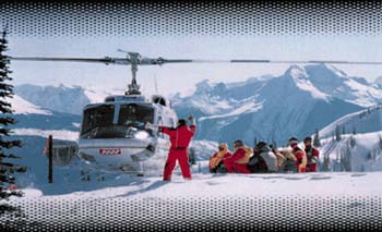warren miller films