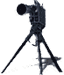 WarrenMiller.com