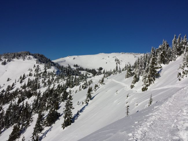 snowshoe trails