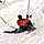 Crested Butte Photo