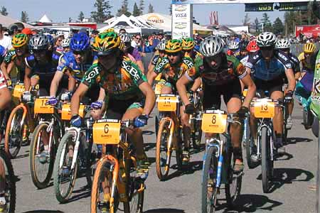 Norba 2000 NCS Photo
