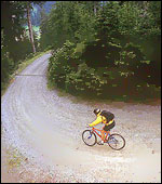 Salomon SA