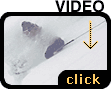 Video Clip