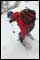 Avalanche Risks