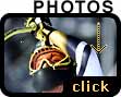 Click for Photo Gallery