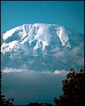 Climbing Kilimanjaro 2002 Photo