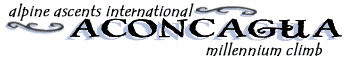 Alpine Ascents International  Millennium Aconcagua Climb