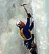 Guy Lacelle