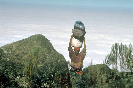 Kilimanjaro Photo