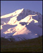 Shishapangma