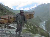 Man Carrying Lumber