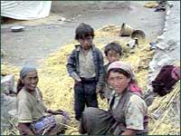 Straw in Muktinath