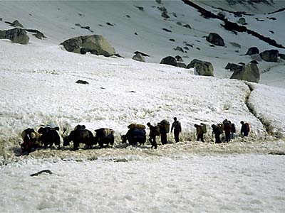 Mount Everest expedition photo
