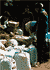 Mount Everest photos Eric Simonson expedition