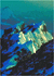 Everest North Ridge Summit Bid