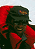 Mount Everest photos Eric Simonson expedition