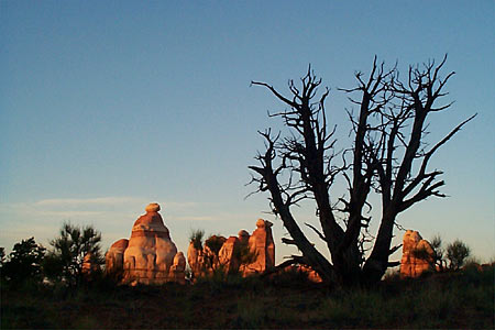 Canyonlands