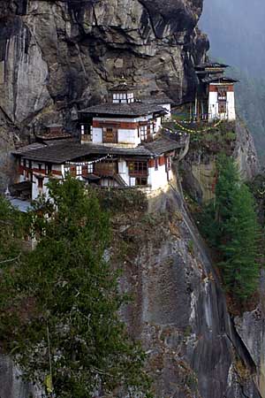 Bob Winsett Photo
