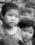 Lesley Burvill-Holmes Photo
