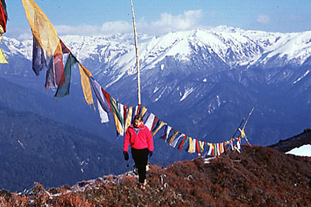 Prayer flags