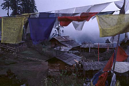 Prayer Flags in DDzongri