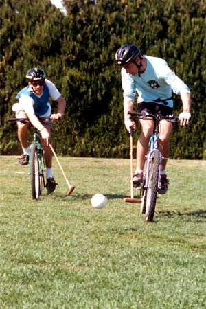 Biki Polo Photo