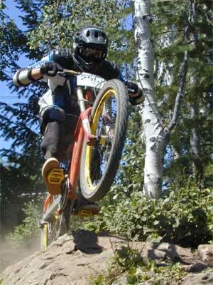 Norba 2000 NCS Photo