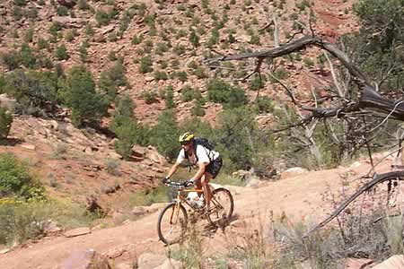 Riding the Ancient Kokopelli Trail