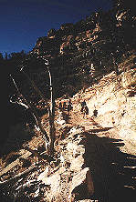 Grand Canyon National Park