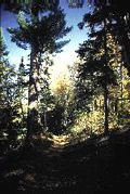 Isle Royale National Park