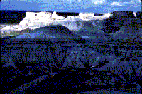 Petrified Forest National Park