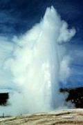 Old Faithful
