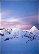 Pumori