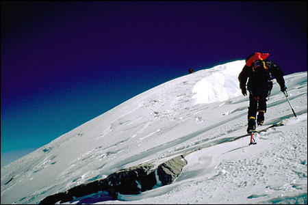 Wally Berg Photo