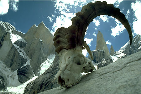 Greg Child Photo
