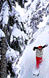 Stevens Pass