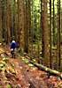Cascade trail riding 