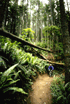 Cascade trail riding 
