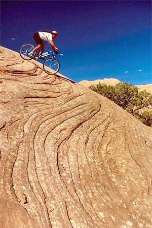 Stephen Matera Image